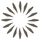 BERLUS Hausverwaltung logo