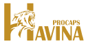 Havina Promotion And Caps Corporation