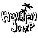 hawaiianjulep.com