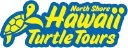 Hawaii Turtle Tours