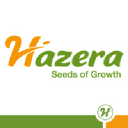 hazera.com