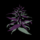 Hazy Hill Farm Logo
