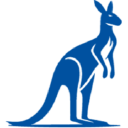 healthsupplements.com.au Logo