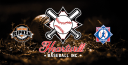 Heartwell Baseball Inc