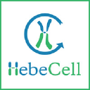 hebecellcorp.com