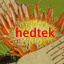 hedtek.com
