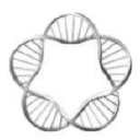 Helix Biopharma