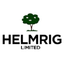 HELMRIG LIMITED logo