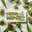 Herb Depot Dispensary Logo