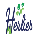 COMMUNE D HERLIES