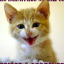 hermitagecatshelter.org