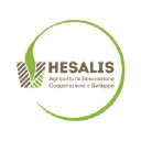 hesalis.com