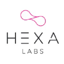 hexa-labs.com