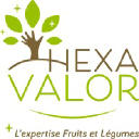 hexavalor.fr
