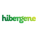hibergene.com