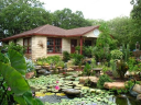 hillcountrywatergardens.com