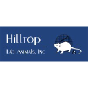 hilltoplabs.com