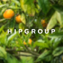 hipgroup.co.nz