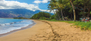 Property Manager Hawaii Real Estate Executives in Kihei HI