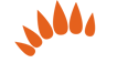 hoatamus.com