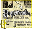 hogsmeade.pl Invalid Traffic Report