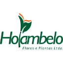 holambelo.com.br