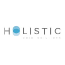 holisticds.com
