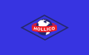 Hollico, Inc. logo