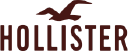 Hollister Logo - built by Ace Painting and Drywall Las Vegas