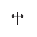 Logo for holstrength.com