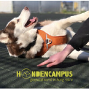 hondencampus.nl