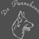 hondenopvang-pannehoeve.nl