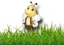 Honeybee Landscape Designs