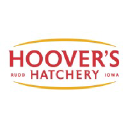 hoovershatchery.com