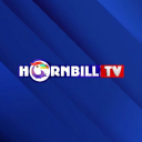 hornbilltv.com