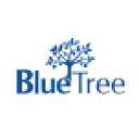 BLUETREE CONSULTANCY SERVICES PRIVATE LIMITED