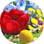 Aboutflowers.com logo