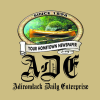 Adirondackdailyenterprise.com logo