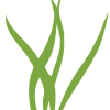 Airplantsupplyco.com logo
