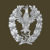 Akademia.mil.pl logo