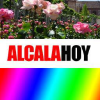 Alcalahoy.es logo
