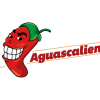 Alchileaguascalientes.com logo