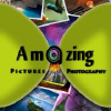 Amazingpandph.com logo