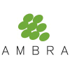 Ambra.com.pl logo