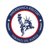 Amerikankultur.org.tr logo