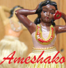Ameshako.com logo
