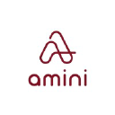 Amini logo