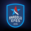 Anadoluefessk.org logo
