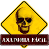 Anatomiafacil.com.br logo