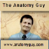 Anatomyguy.com logo